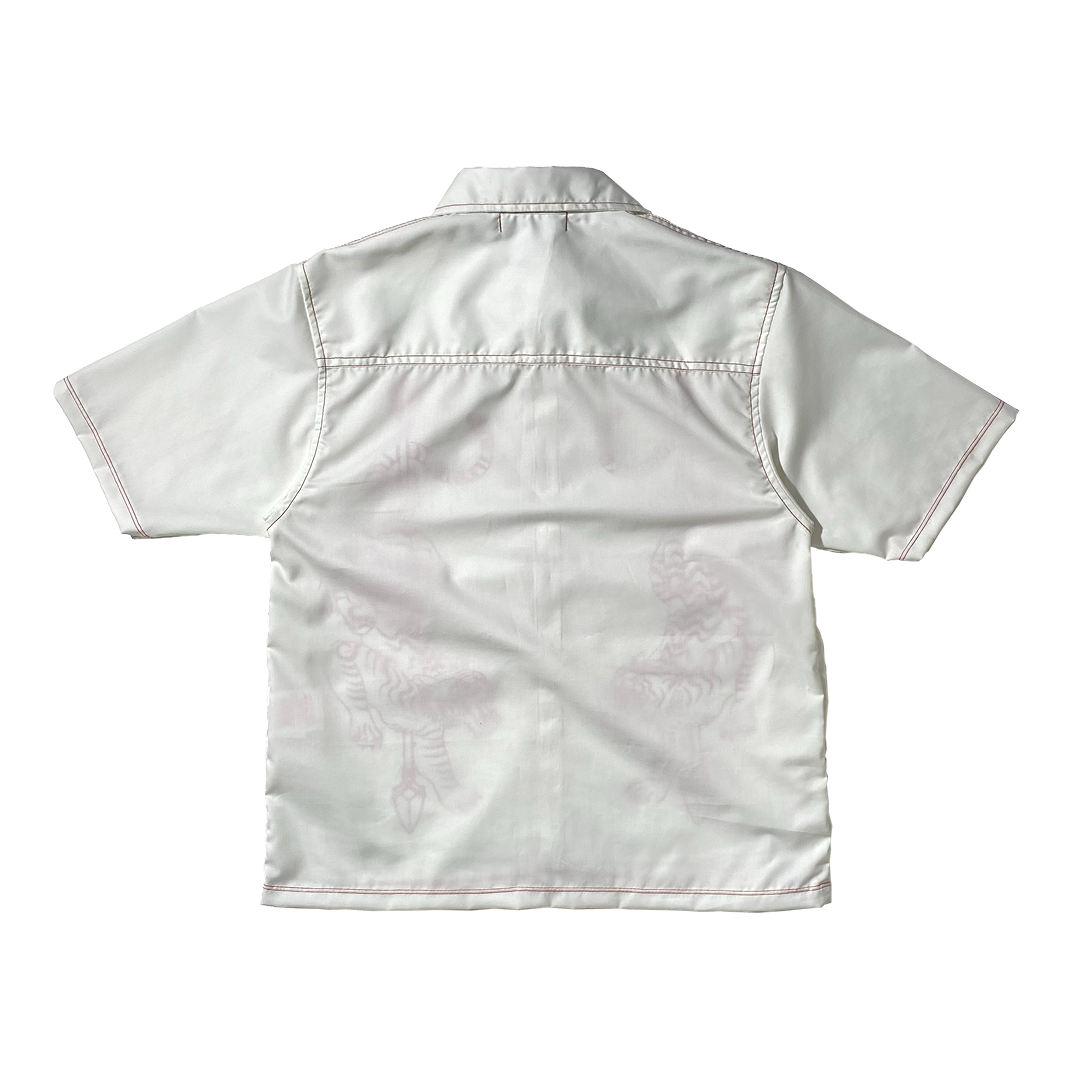 ARCHIVE 006: PANTHERA TIGRIS CUBAN POLO