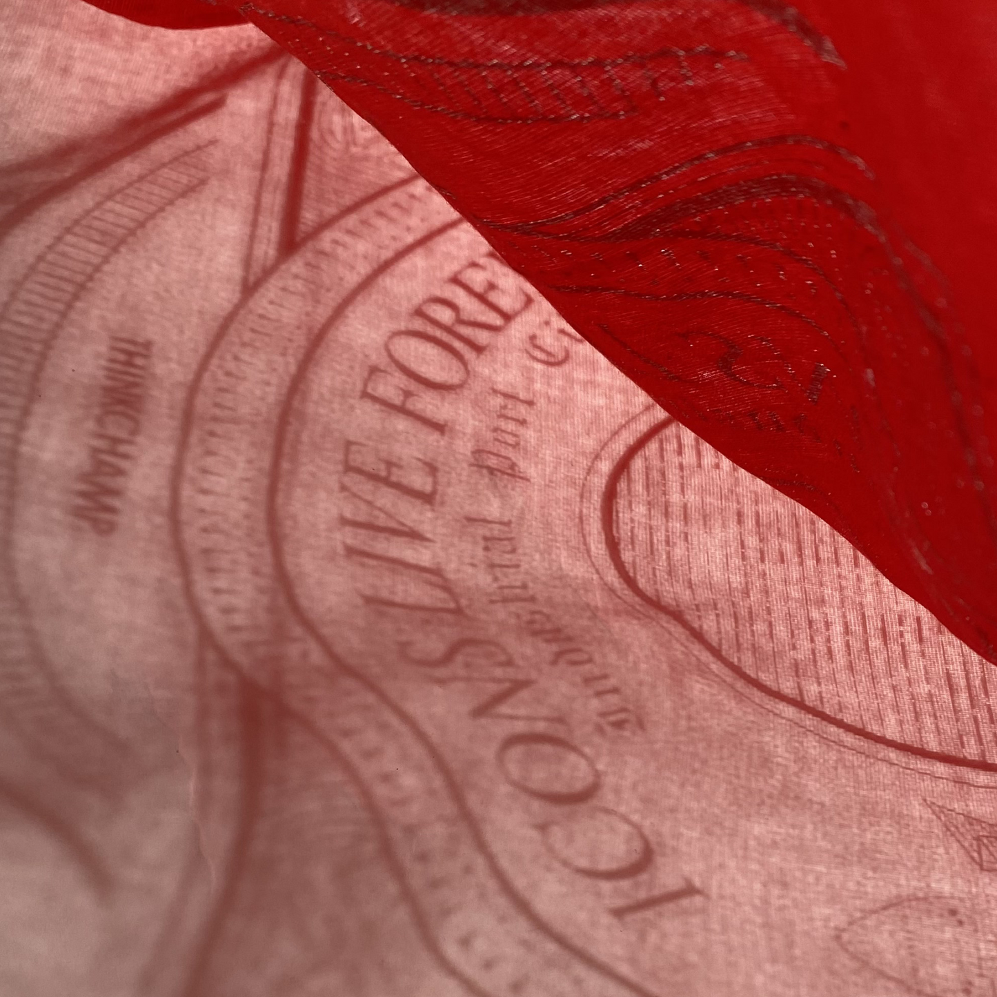 INDUSTRIAL PORT CITY BANDANA IN CRIMSON COLORWAY