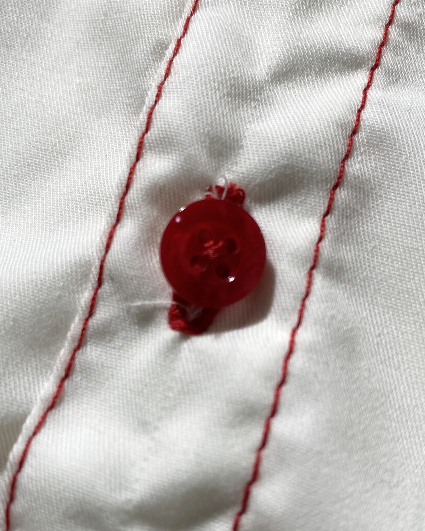 ARCHIVE 006: PANTHERA TIGRIS CUBAN POLO