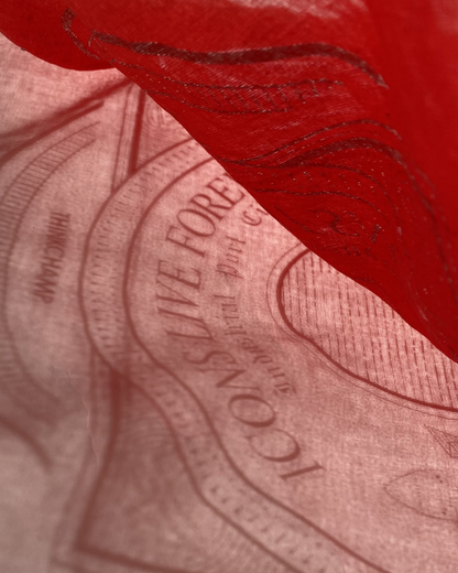 INDUSTRIAL PORT CITY BANDANA IN CRIMSON COLORWAY