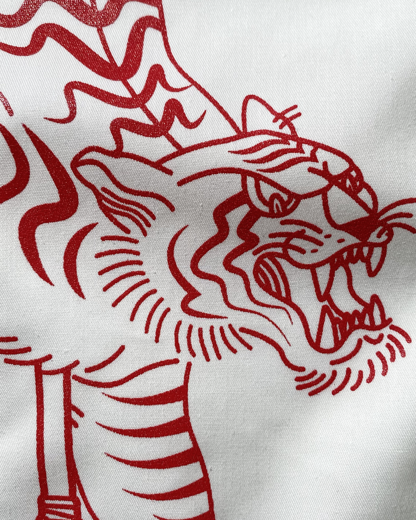 ARCHIVE 006: PANTHERA TIGRIS CUBAN POLO