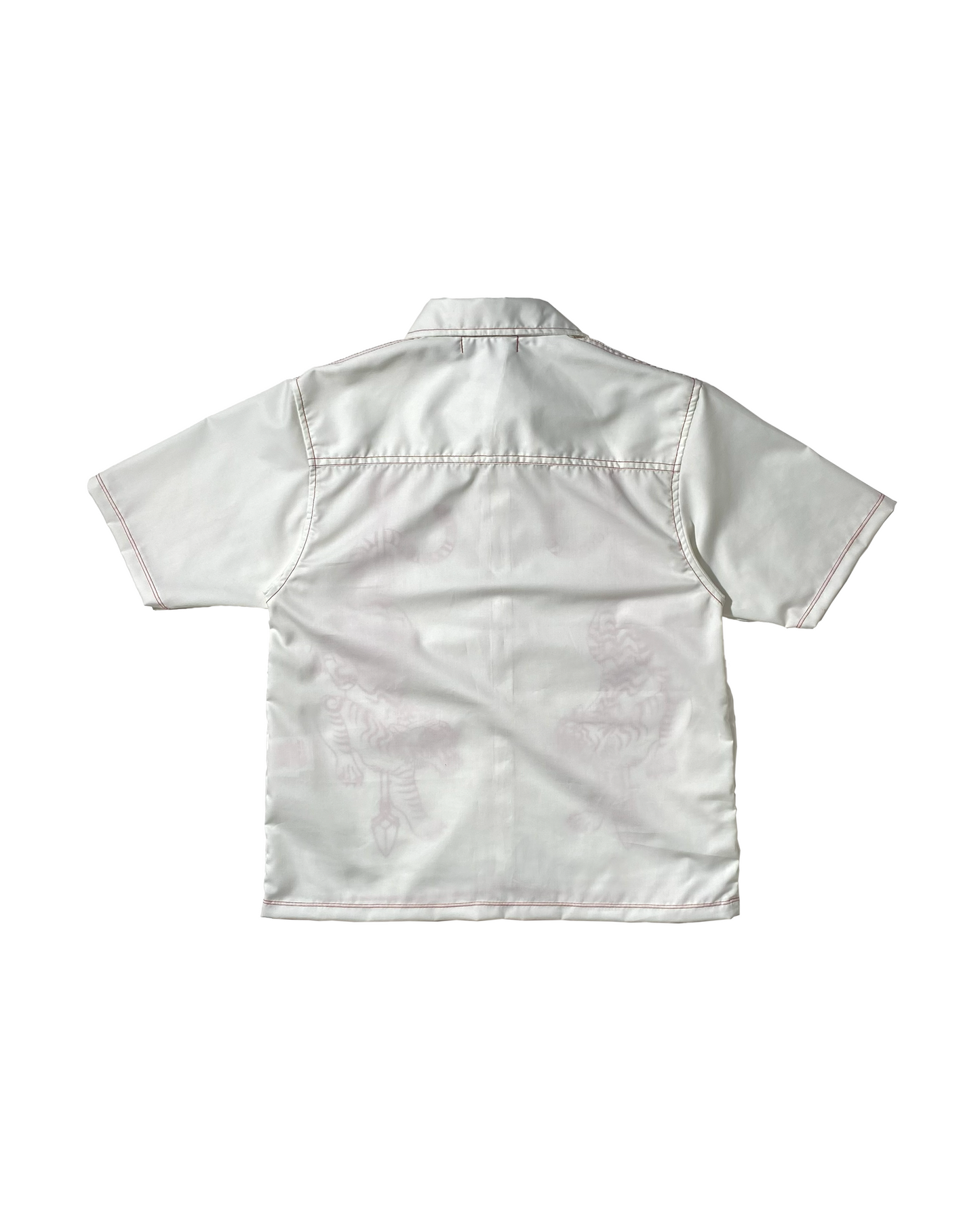 ARCHIVE 006: PANTHERA TIGRIS CUBAN POLO