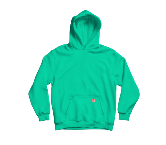 THINK CHAMP | MINT GREEN | PULL OVER HOODIE